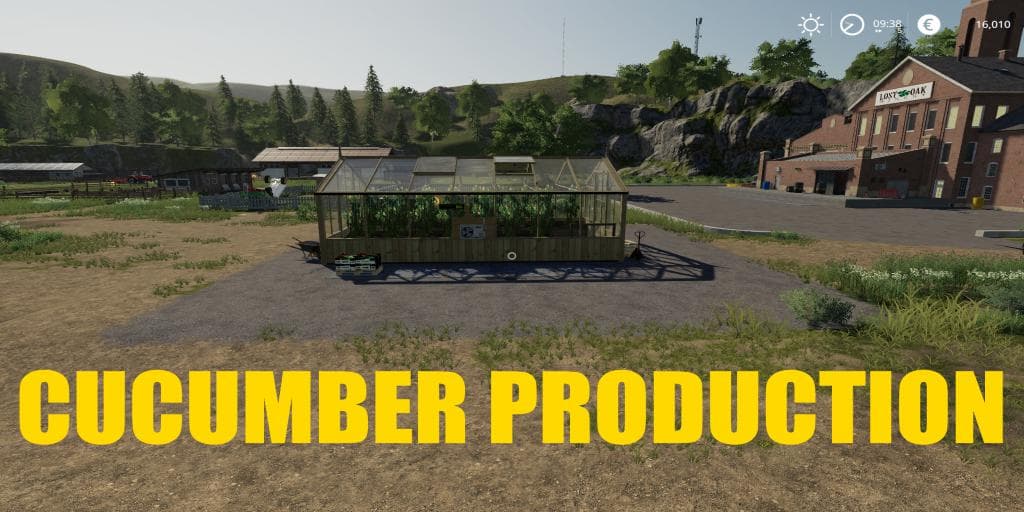 CUCUMBER PRODUCTION 2