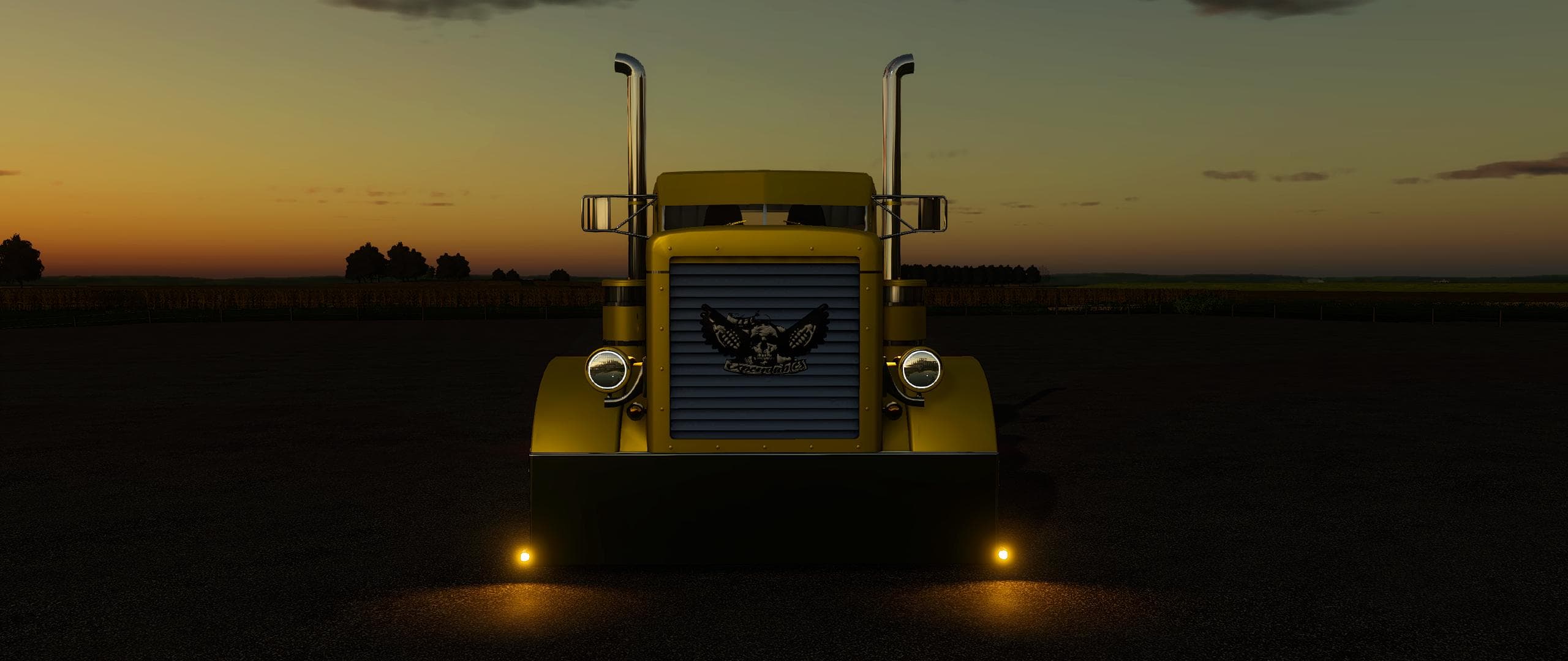 CUSTOM PETERBILT 379 2