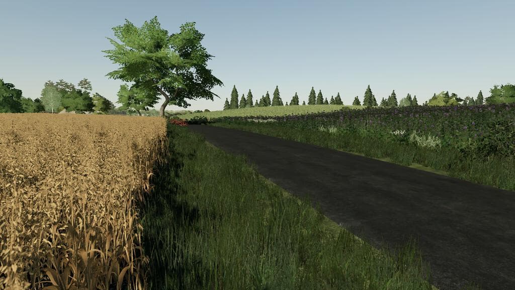 CYBUCHOWO MAP 5