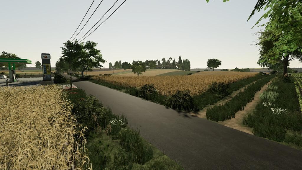 CYBUCHOWO MAP