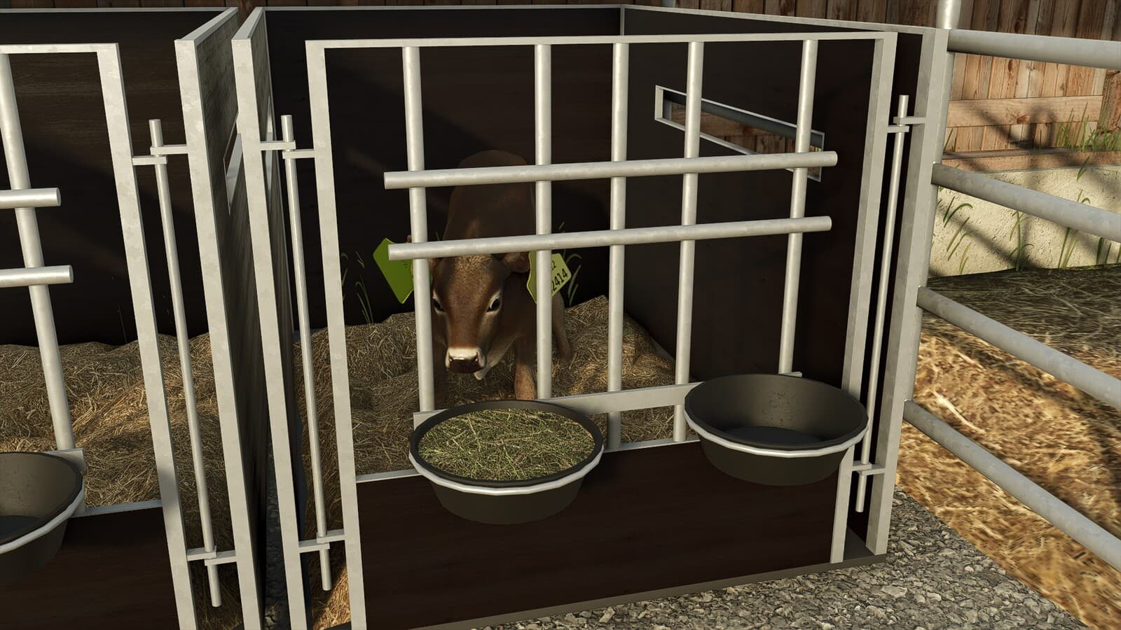 Calf Box