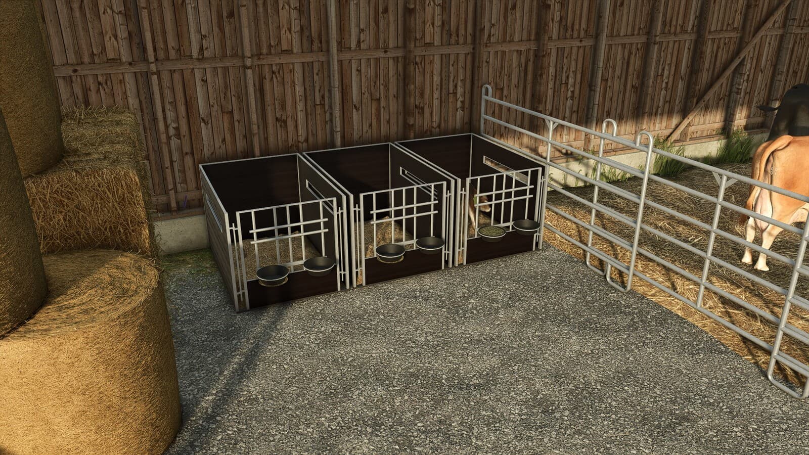 Calf Box 3