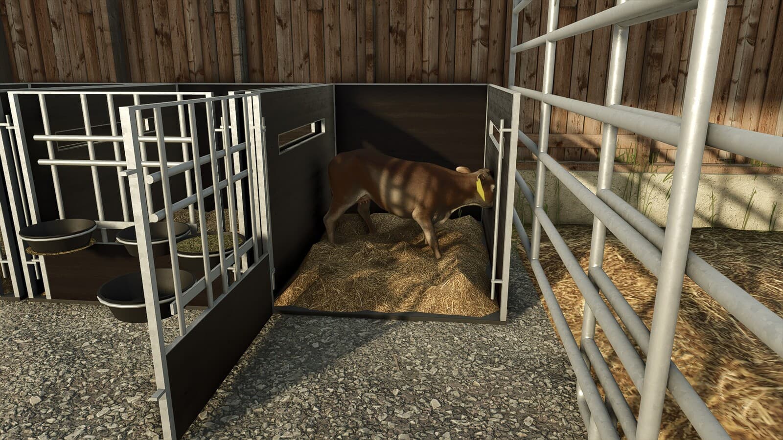 Calf Box 2