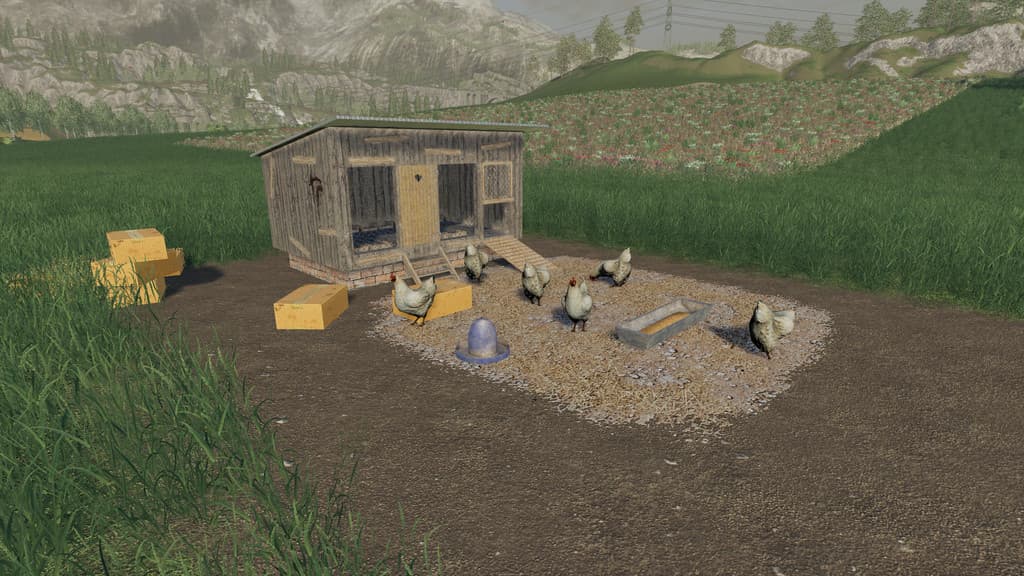 Chicken Coop 2
