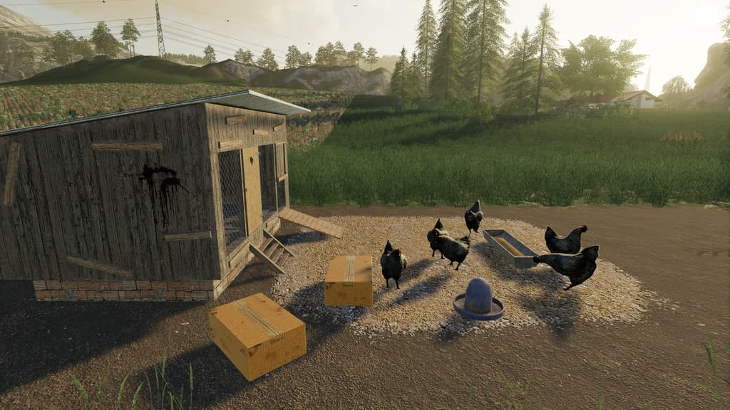 Chicken Coop