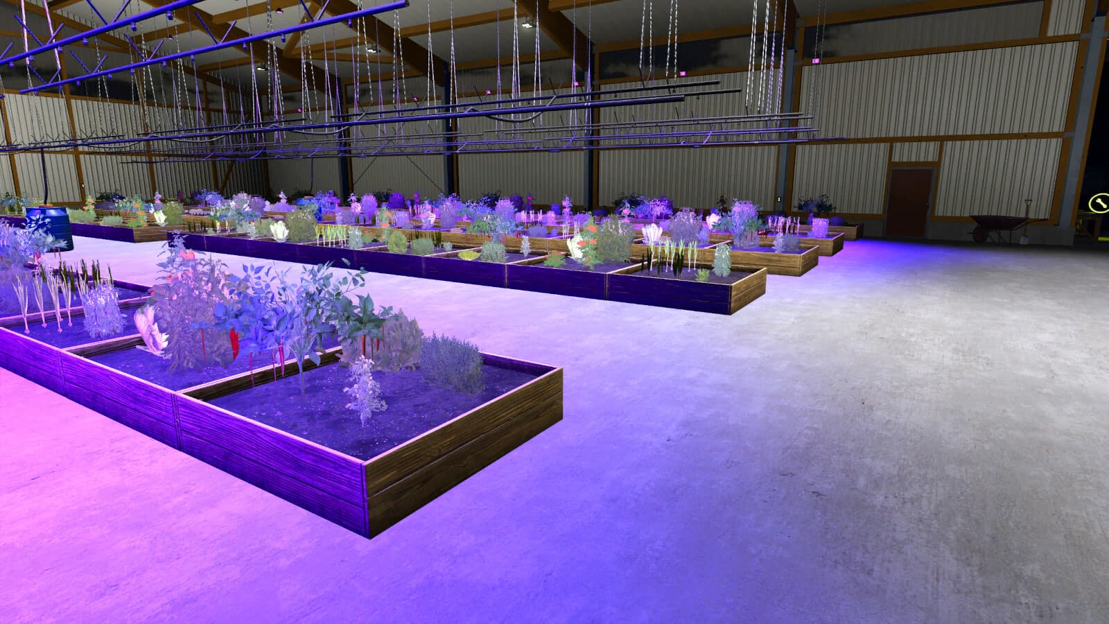 Commercial Grow Shed 3