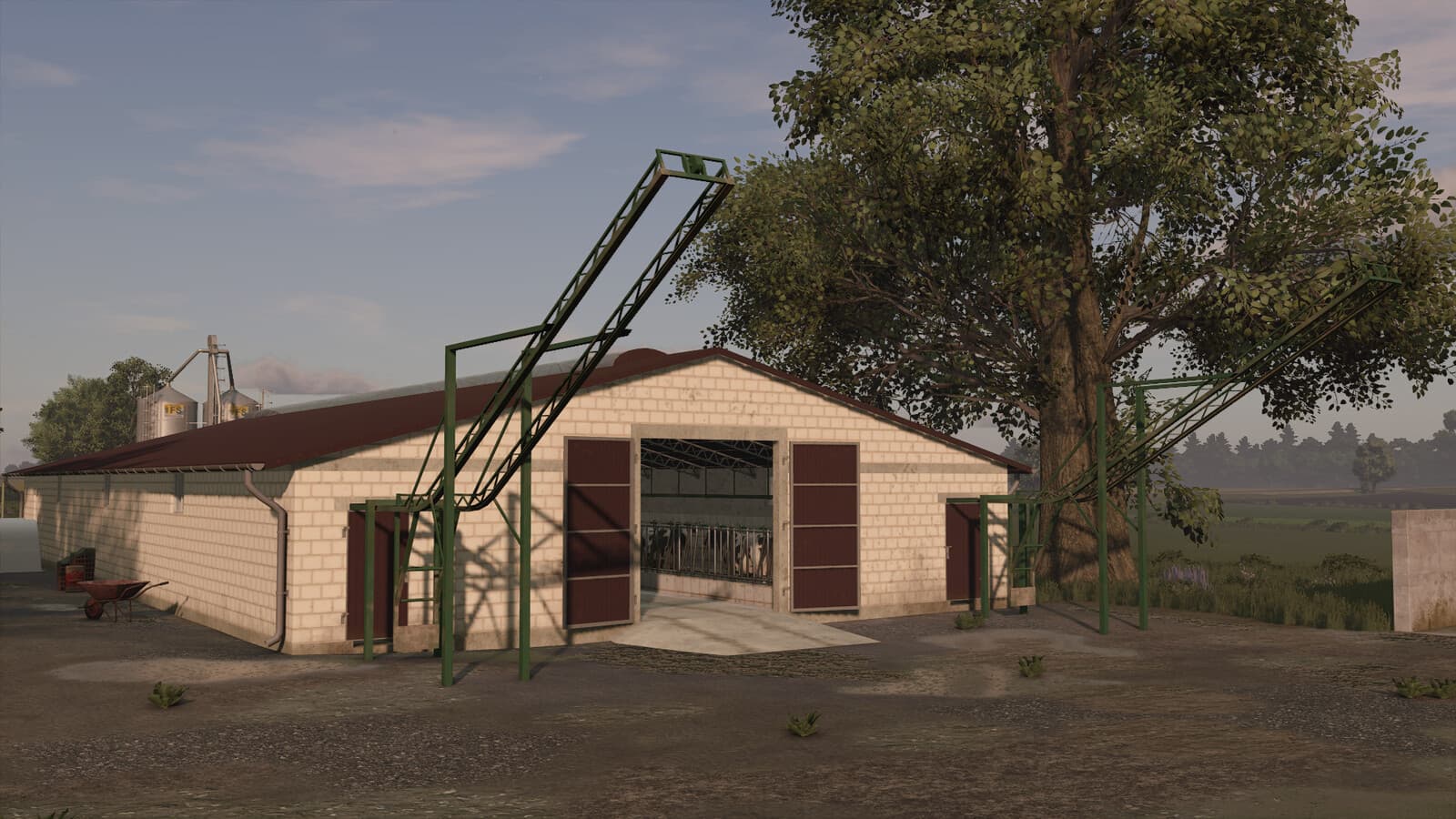 Cow Barn With Manure Conveyor 2