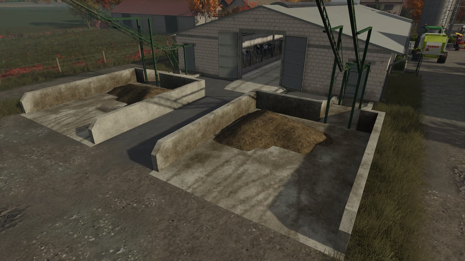 Cow Barn With Manure Conveyor 3