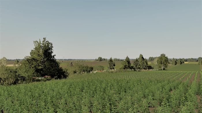 Cow Farm 3