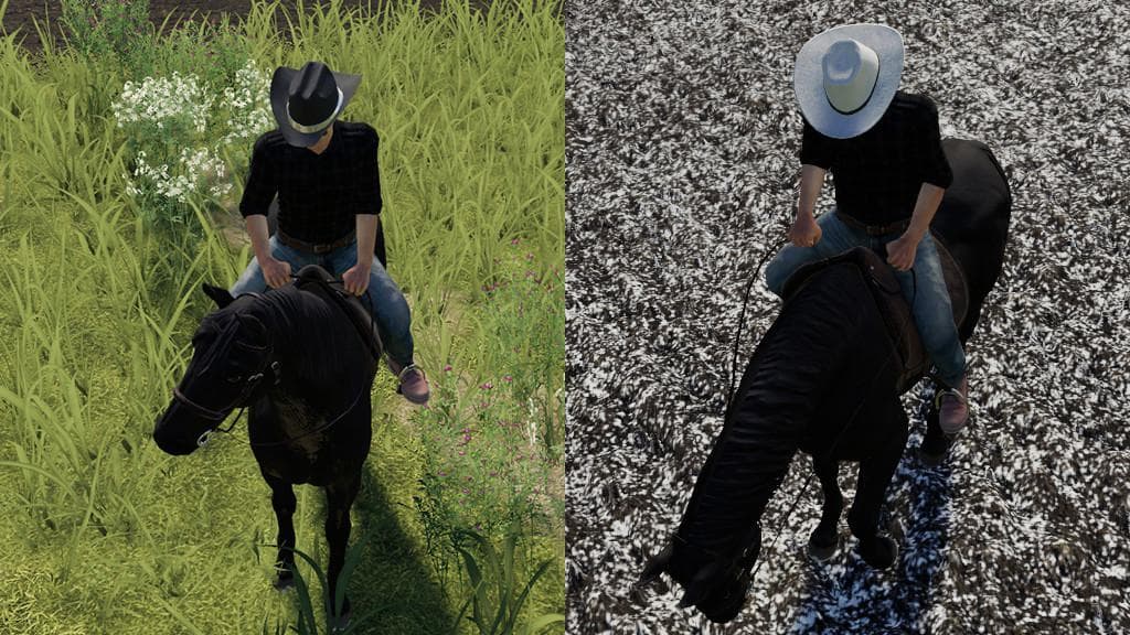 COWBOY HAT 5