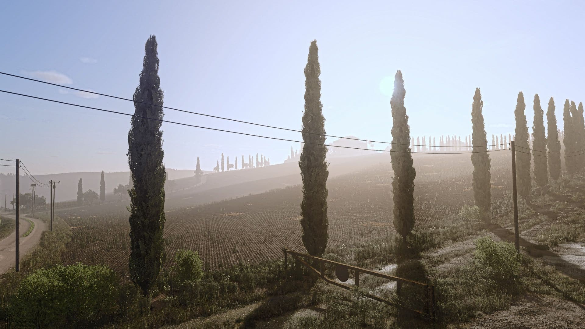 Cypress 2