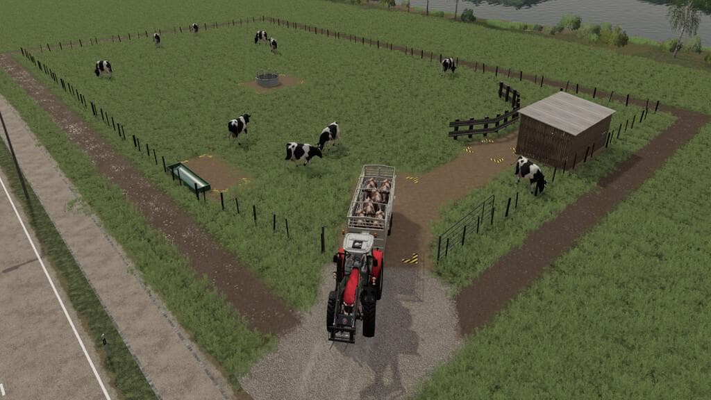 DAIRY COW PASTURE 5