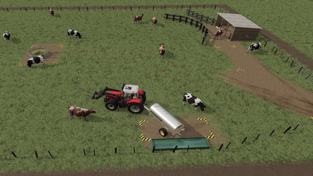 DAIRY COW PASTURE 4