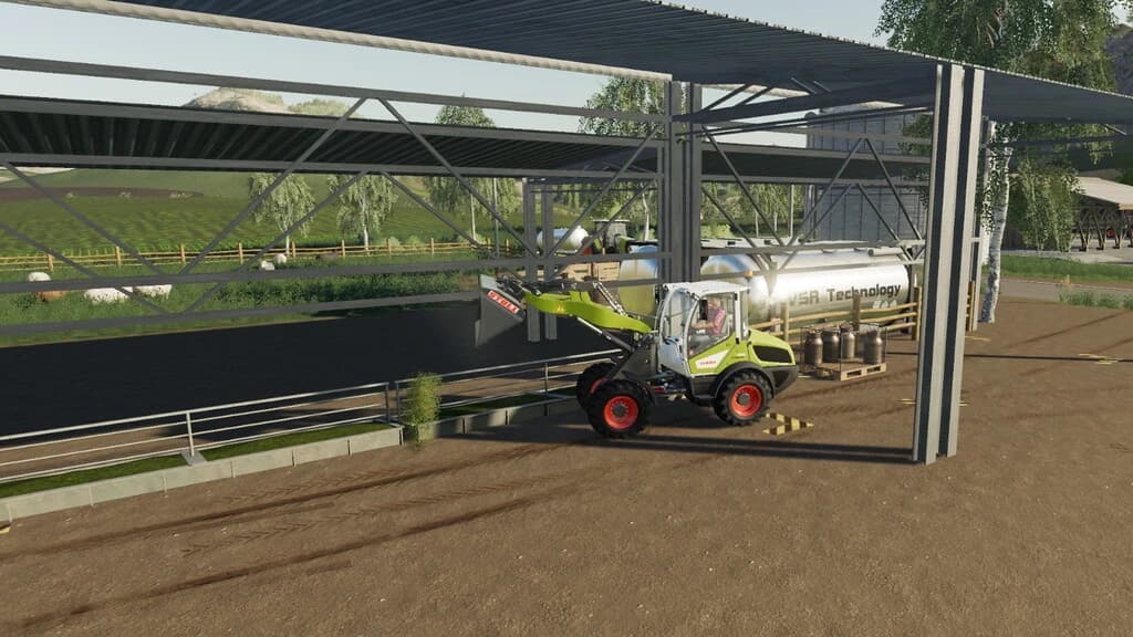 DAIRY SHEEP 2