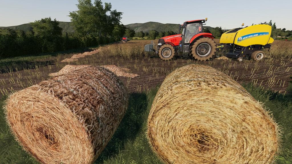 DALTON VALLEY FARM 2