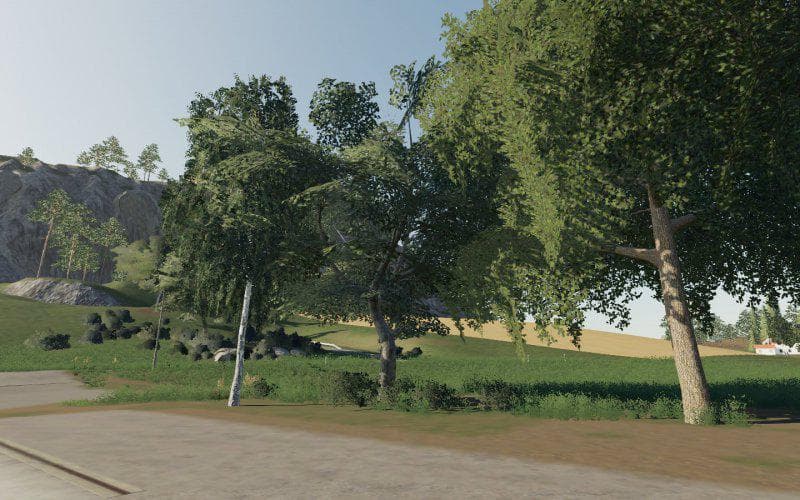 DARK TREES &amp; BUSH TEXTURES 5