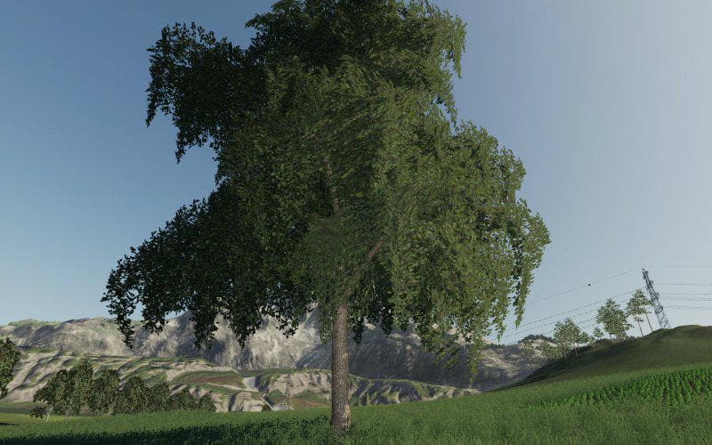 DARK TREES &amp; BUSH TEXTURES 4