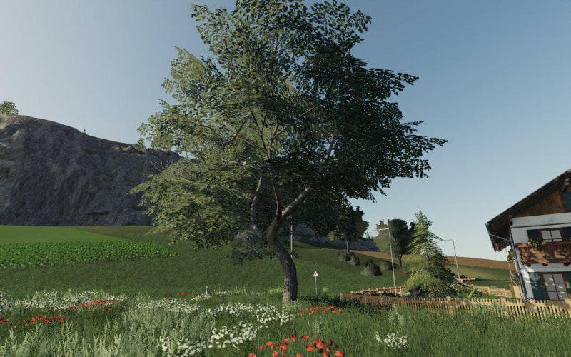 DARK TREES &amp; BUSH TEXTURES 3