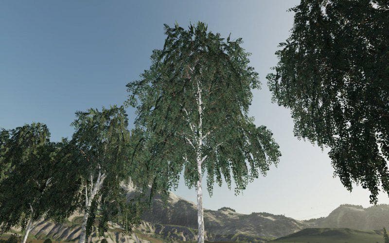 DARK TREES &amp; BUSH TEXTURES 2