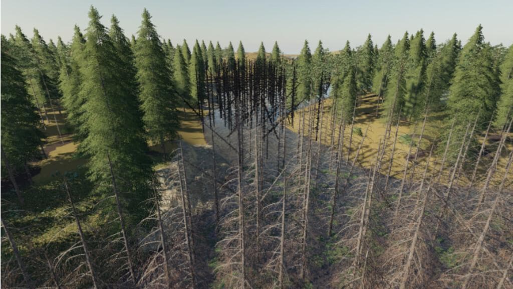DAYLIGHT IN THE SWAMP 2