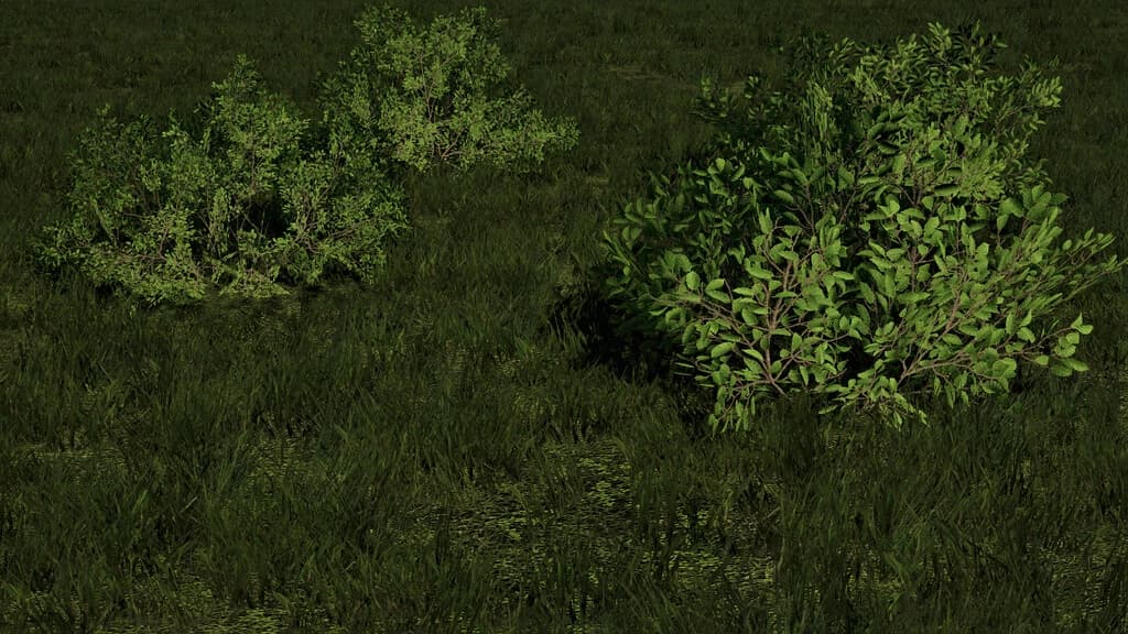 DECORATIVE BUSHES 2