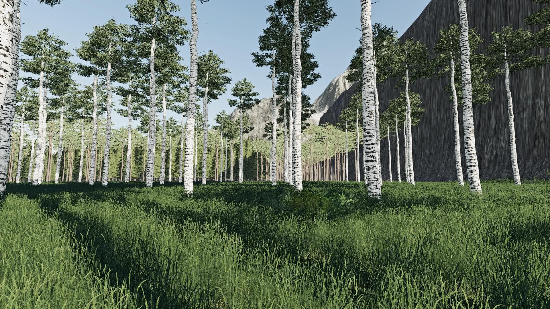 DEEP LOGGING 4