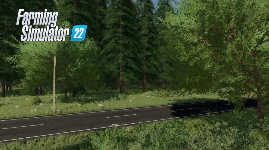 DEEP WOODS