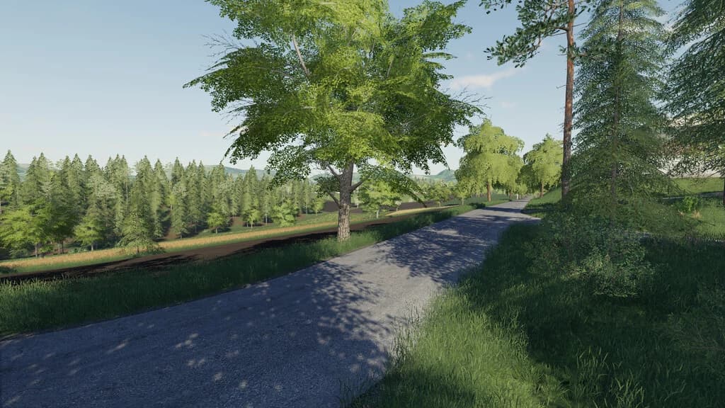 DELUSION MAP 4
