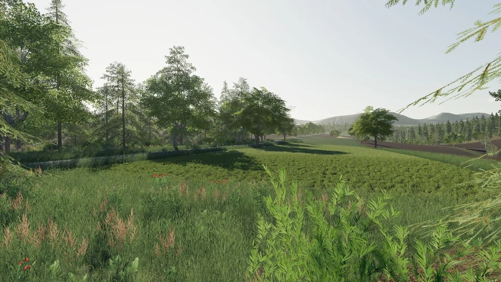 DELUSION MAP 3