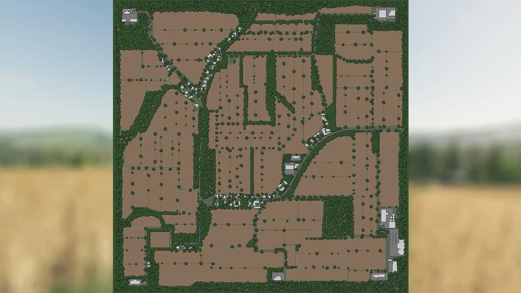 DELUSION MAP