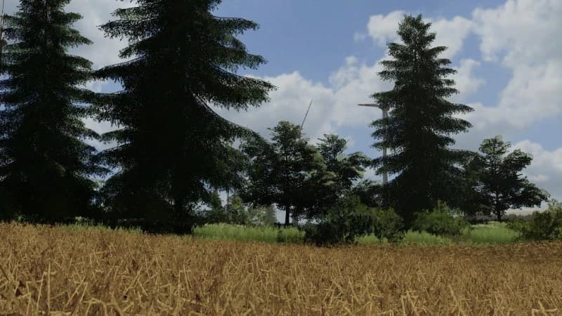 DENSE GRAIN TEXTURE 5