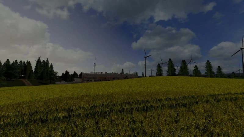 DENSE GRAIN TEXTURE 4