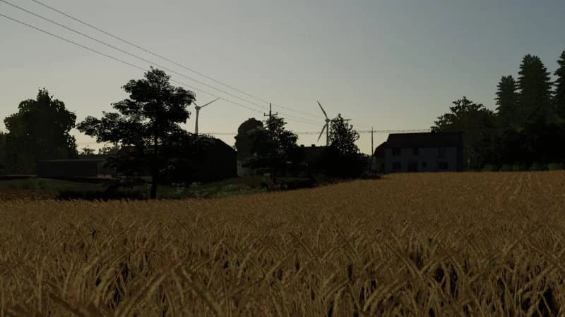 DENSE GRAIN TEXTURE