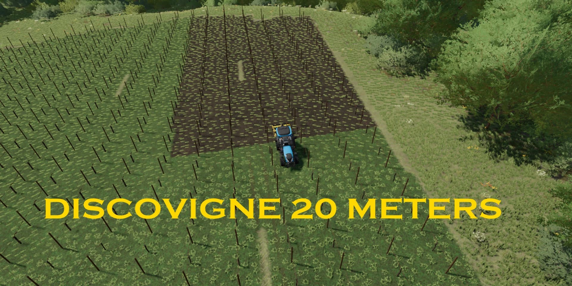 DISCOVIGNE 20 METERS 2