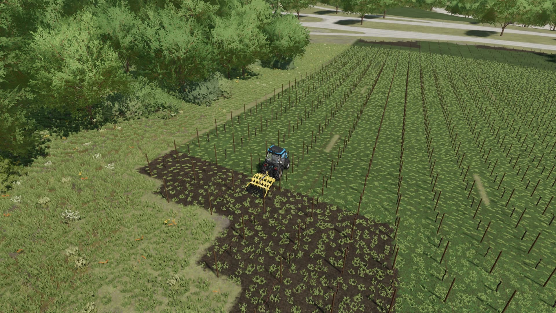 DISCOVIGNE 20 METERS