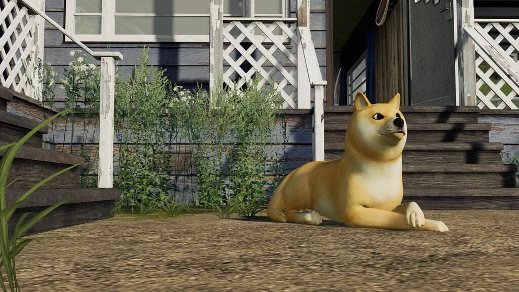 DOGE COIN DOG 2