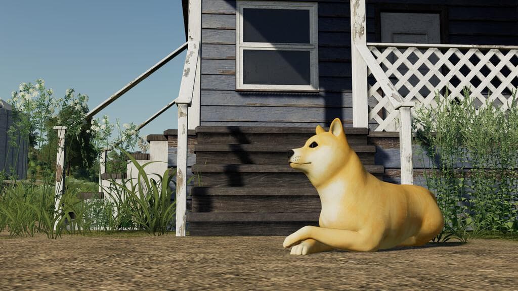 DOGE COIN DOG