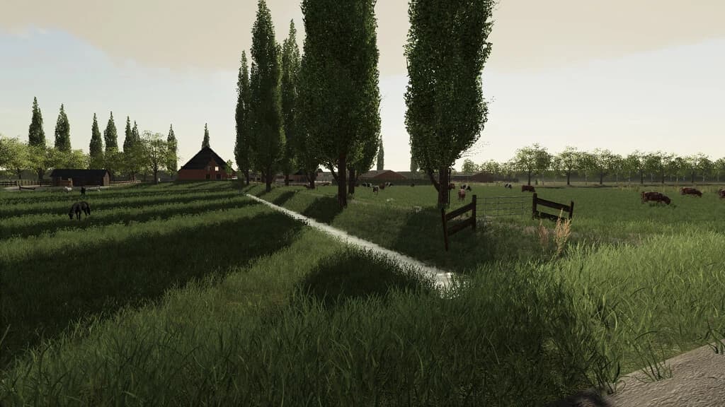DUTCH ISLAND 2