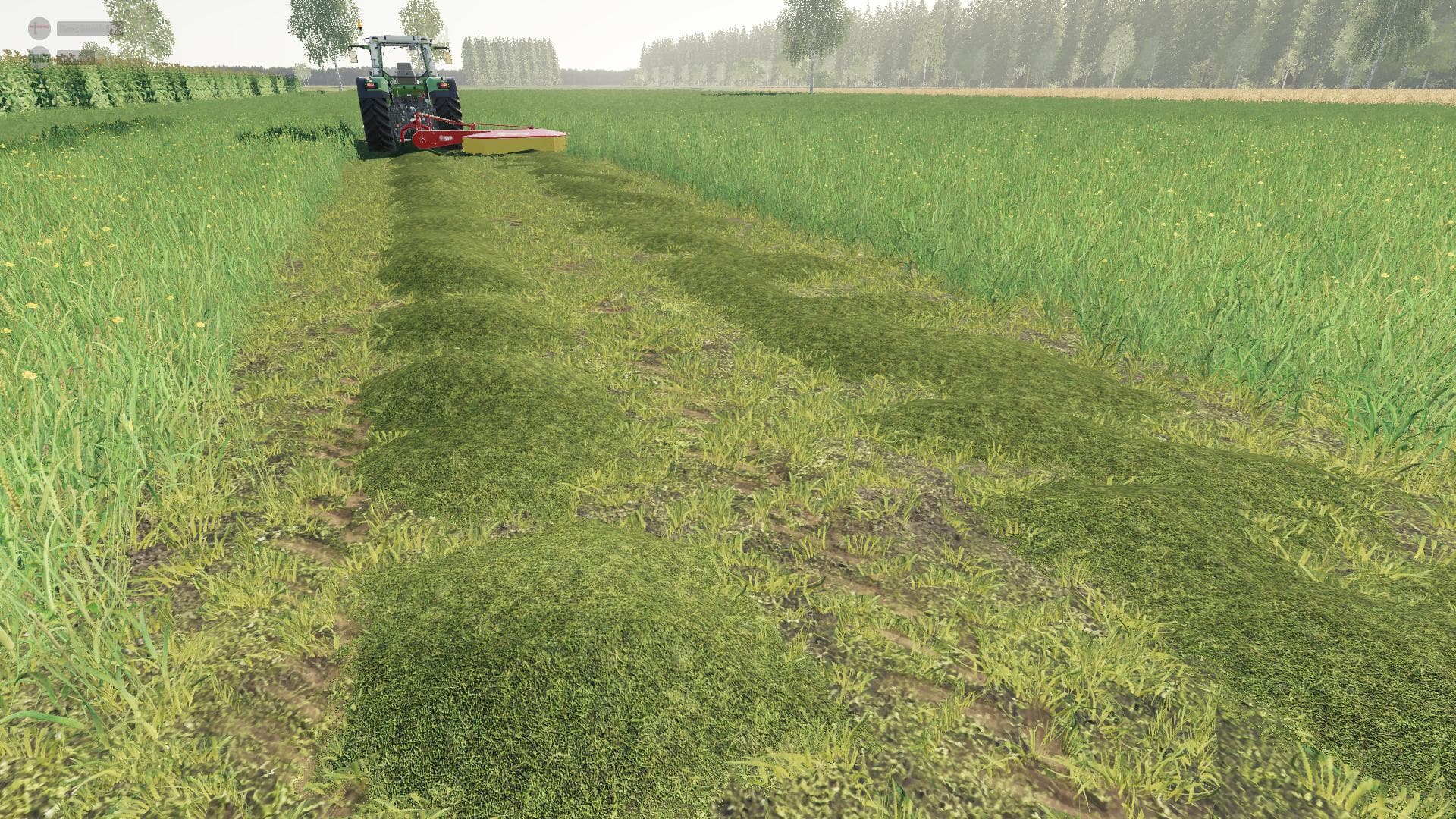 DUTCH FARM POLDER 4