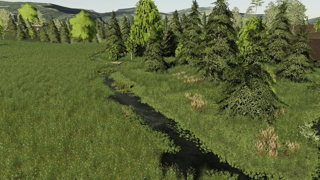 DZIKA MAPA 2