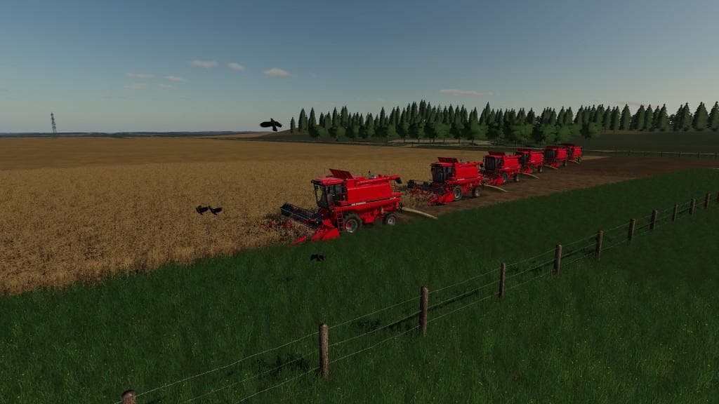 Dahl Ranch 2