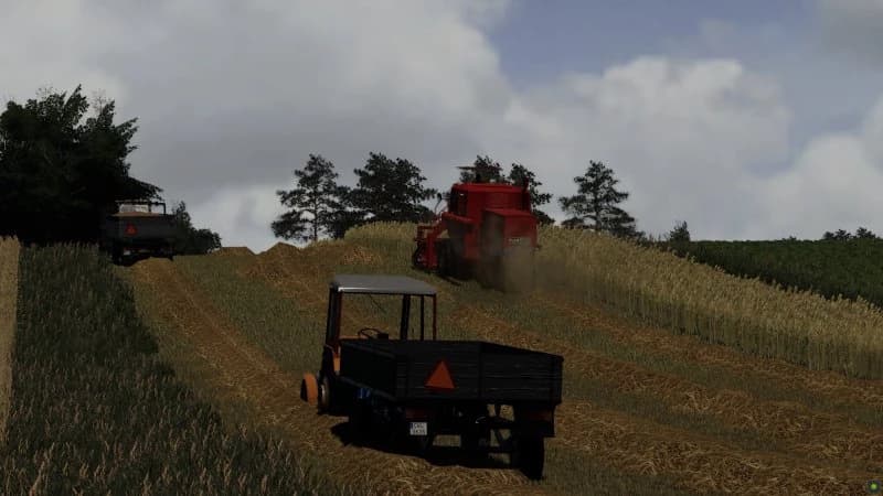ENLARGED STRAW CROPS 2