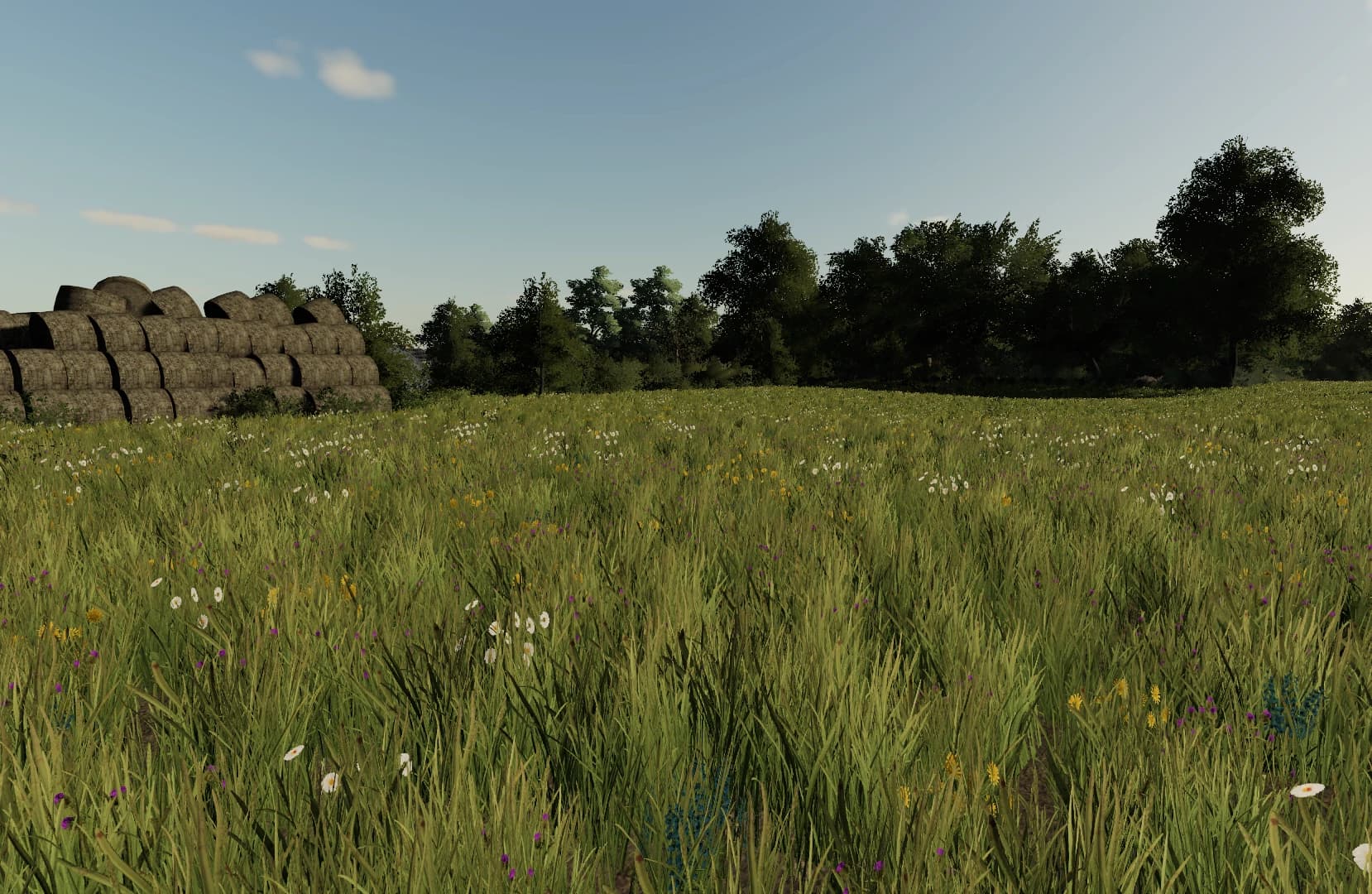 ERLENGRAT GRASS