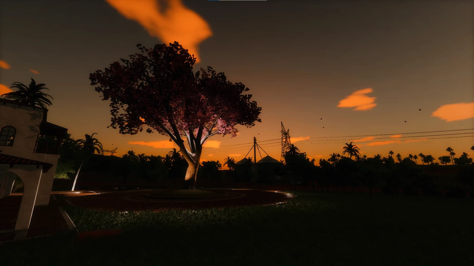 ESTANCIA LAPACHO 3