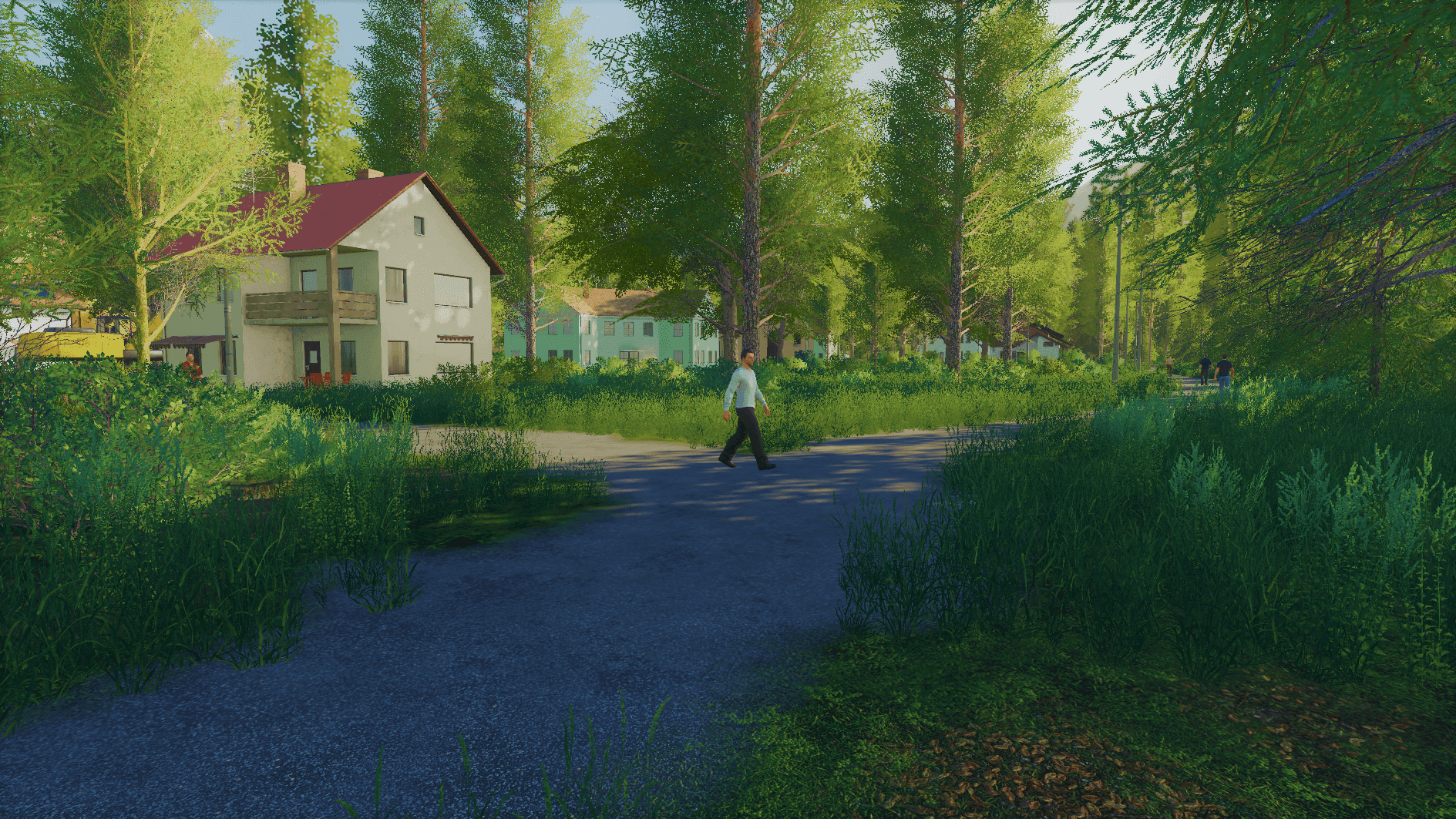 Estonian Forest Valley 4