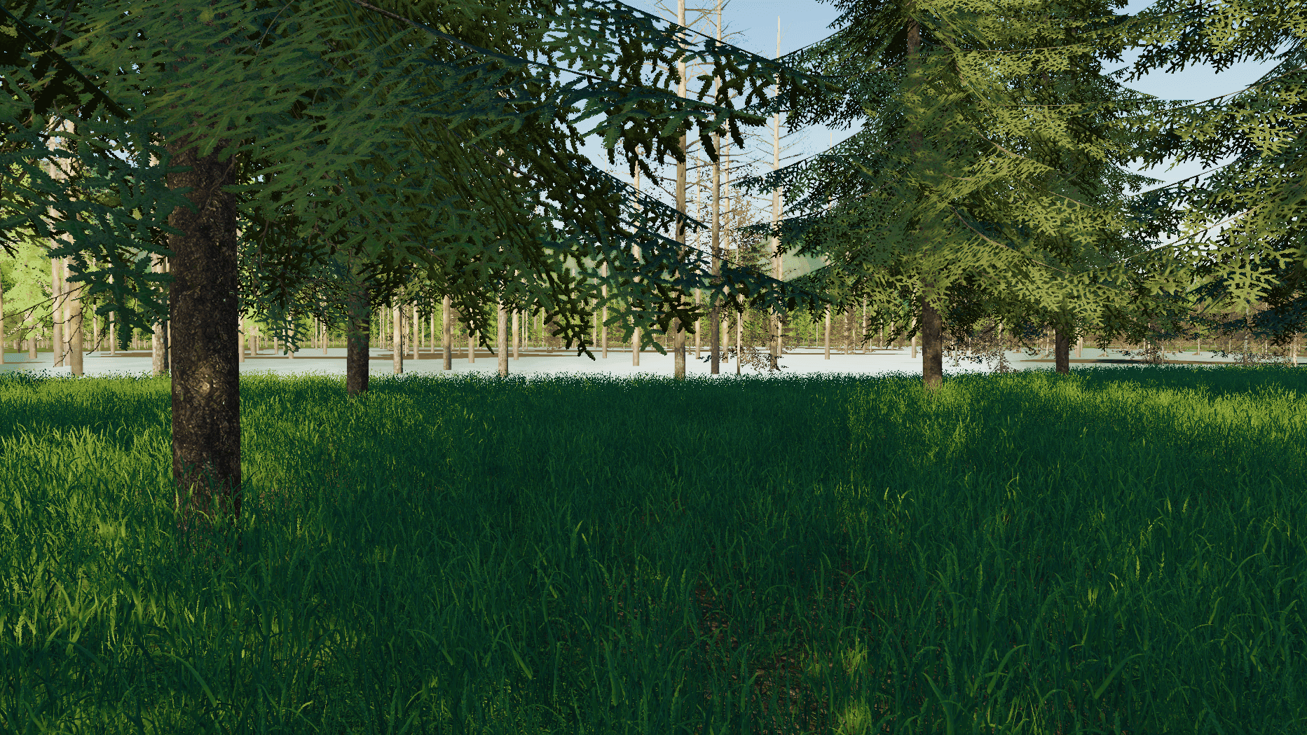 Estonian Forest Valley 3