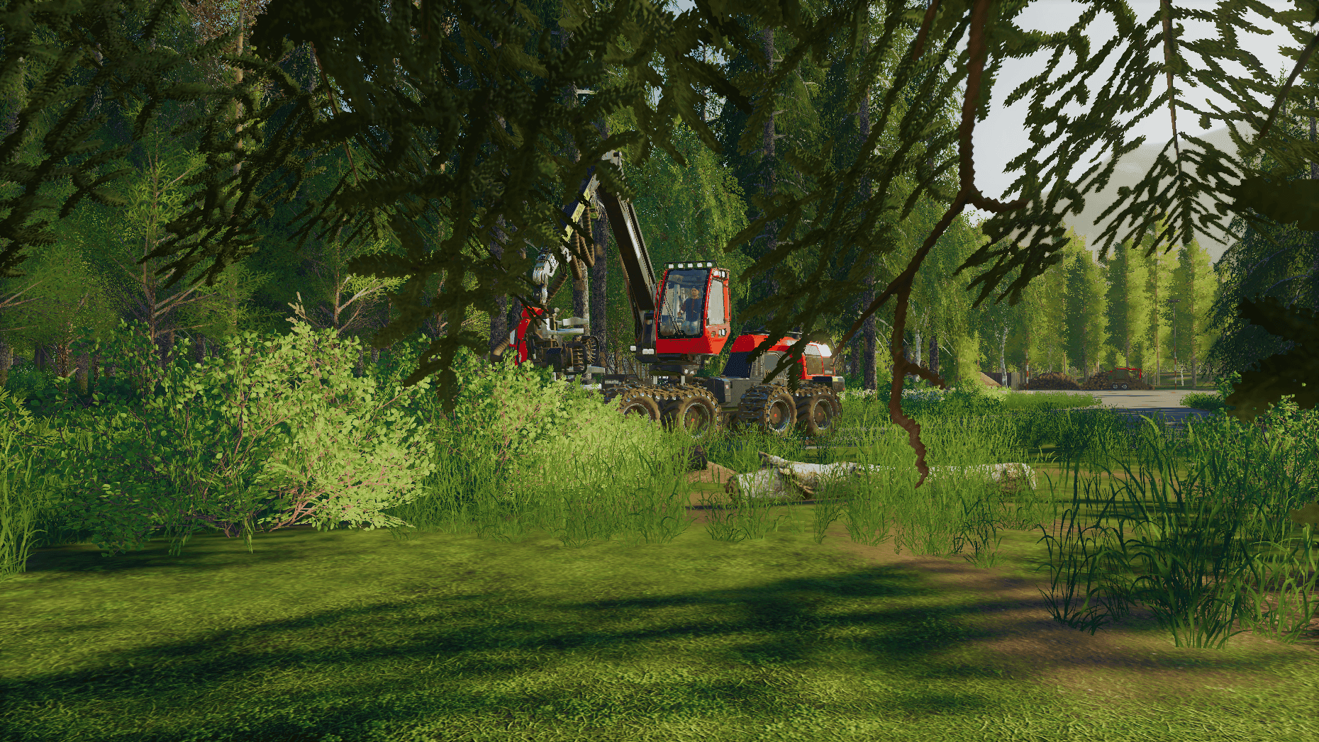 Estonian Forest Valley 2