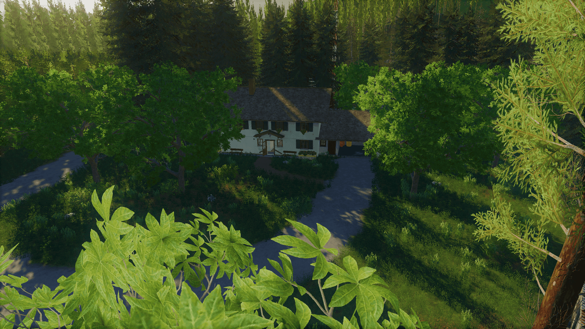 Estonian Forest Valley