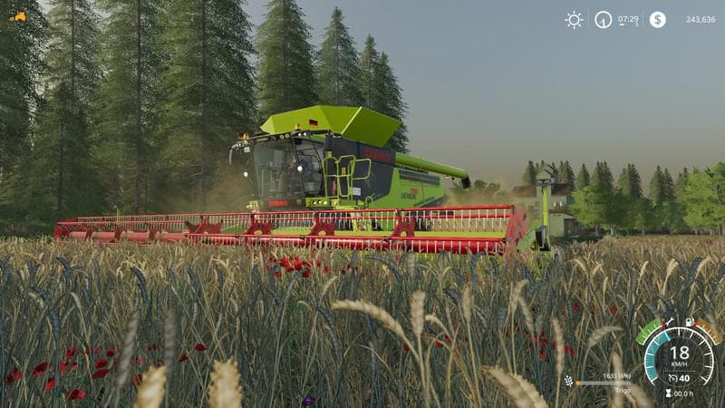FARM BURITI 3