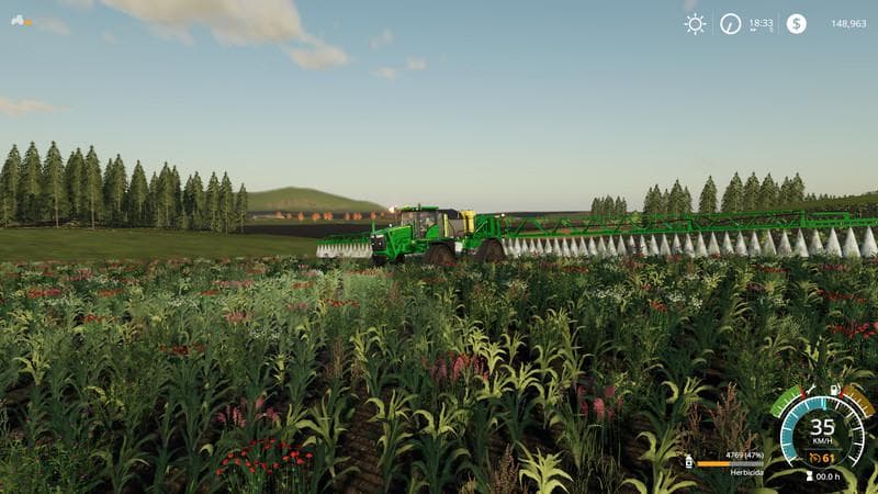 FARM BURITI 2